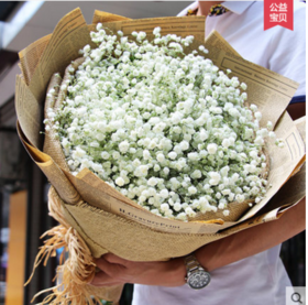 满天星-全国鲜花速递同城鲜花店配送生日花北京上海杭州广州深圳订花送花