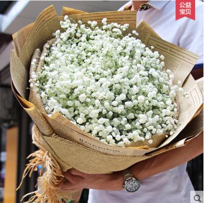 满天星-全国鲜花速递同城鲜花店配送生日花北京上海杭州广州深圳订花送花 商品图0