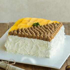 芒果沙滩蛋糕（茂名）