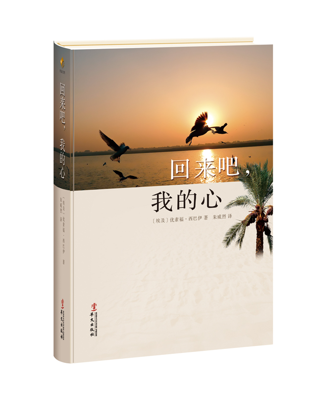 回来吧，我的心