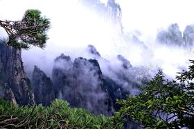 （永久下架）【预付】登黄山揽胜 寻徽州之春