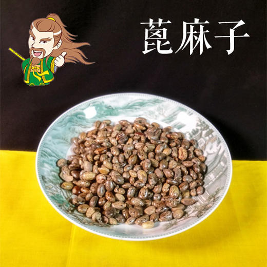 中药材 蓖麻子 安徽 1000克/500克 商品图0