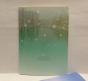 【百汇到家】一本一木3280车线本