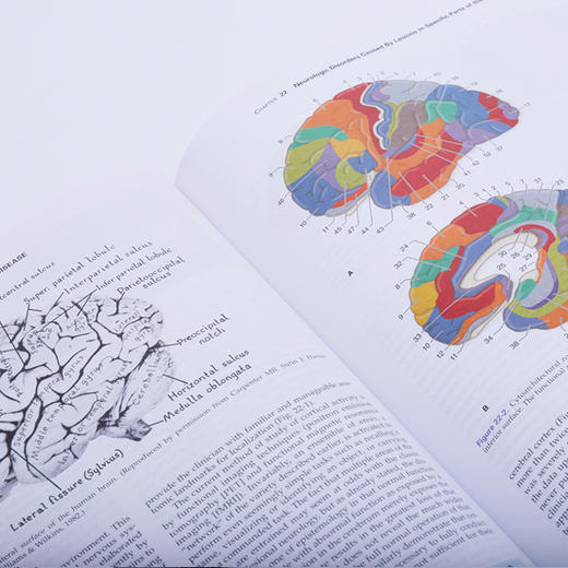 【正版包邮】Adams-Victor神经病学（第10版）（英文版）Adams and Victor’s Principle of Neurology 商品图4