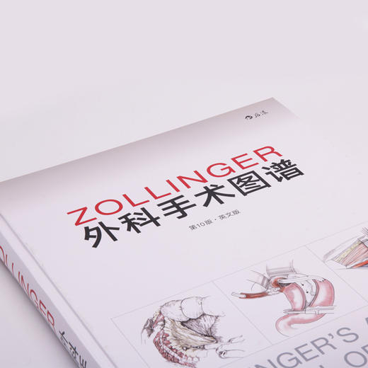 【正版包邮】Zollinger外科手术图谱（第10版）（英文版） Zollinger’s Atlas of Surgical Operations 商品图3