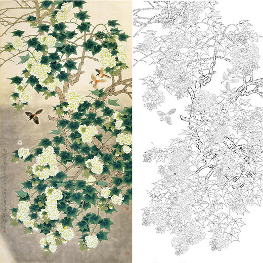 竖幅工笔花鸟白描底稿周彦生芙蓉花寒波照影多种白描尺寸可选qn19