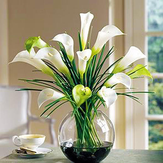 【马蹄莲】---每周花生活 - 兰荫鲜花创艺馆