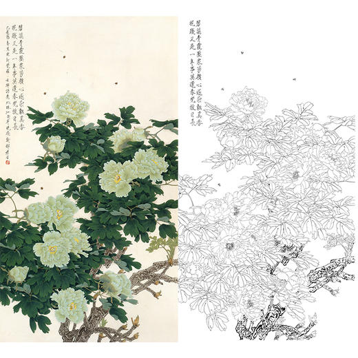 竖幅工笔花鸟白描底稿周彦生牡丹碧玉多种白描尺寸可选qn18