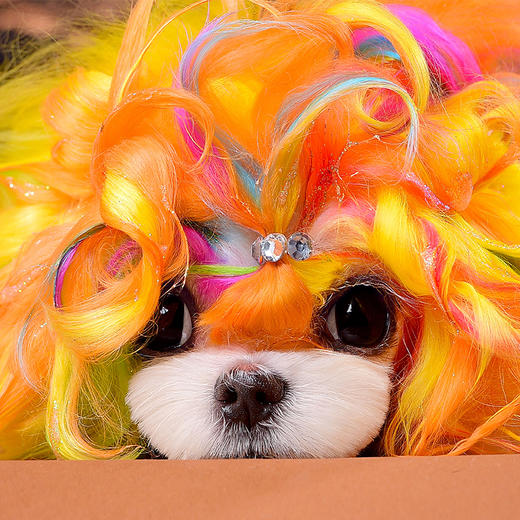 半持久宠物染色剂-橙色Pumpkin Orange OPAWZ小爪印 商品图10