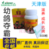 天津版【幼鸽夺霸】大瓶300粒/大幼/育雏宝/稳拿刺五加幼鸽丸 商品缩略图0