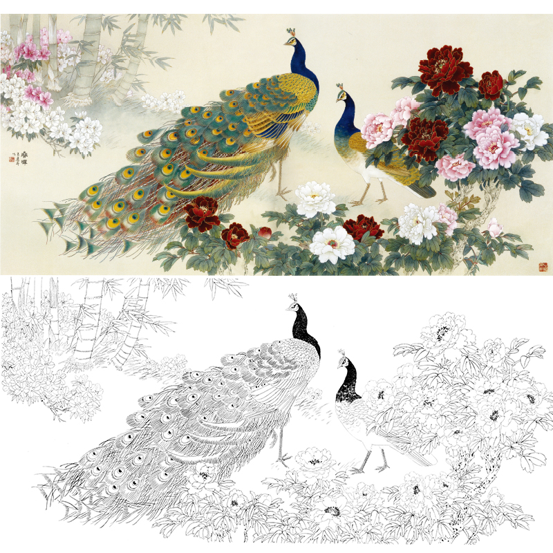 横幅工笔花鸟白描底稿-王庆升牡丹孔雀-《春晖》-多种白描尺寸可选-QA02