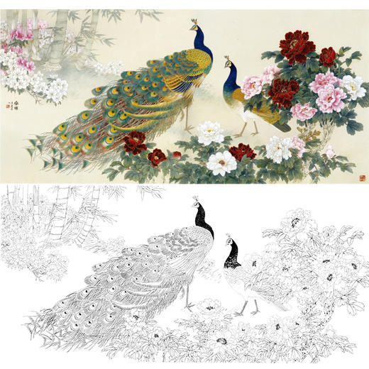 横幅工笔花鸟白描底稿-王庆升牡丹孔雀-《春晖》-多种白描尺寸可选-QA02 商品图0
