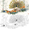横幅工笔花鸟白描底稿-王庆升孔雀《羽君共舞》-多种白描尺寸可选-QA05 商品缩略图0