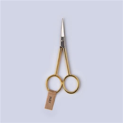 hay金色精致剪刀