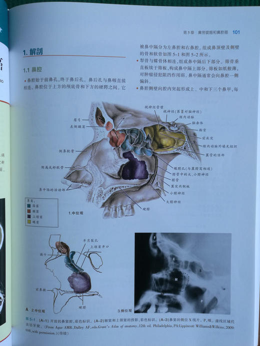 实用肿瘤调强放射治疗 商品图8