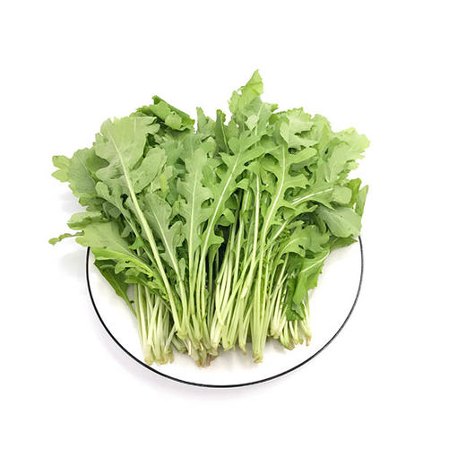 芝麻菜 (rocket salad) 220-250g/袋 各单品合计4袋起发货