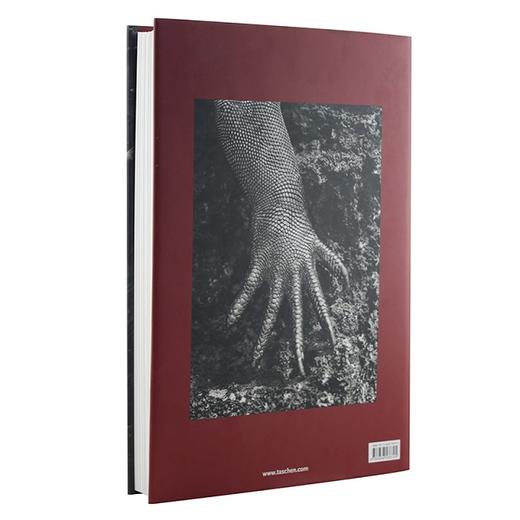 【现货】【TASCHEN】Sebastiao Salgado. Genesis | 塞巴斯蒂昂·萨尔加多 创世纪 摄影集 商品图1