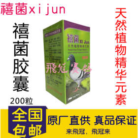 【瓶装禧菌胶囊】促消化/活菌/积料积水胀气（台湾禧菌）