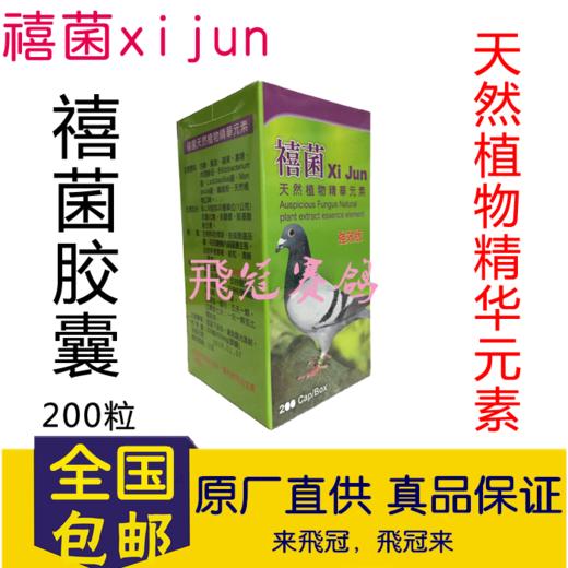 【瓶装禧菌胶囊】促消化/活菌/积料积水胀气（台湾禧菌） 商品图0