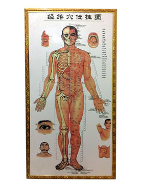 挂画-KT板包边-经络穴位挂图