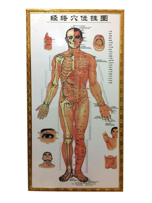 挂画-KT板包边-经络穴位挂图 商品图0