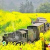 【妈网旅游】嘉阳小火车穿越时空，感受油菜花一日游 商品缩略图0