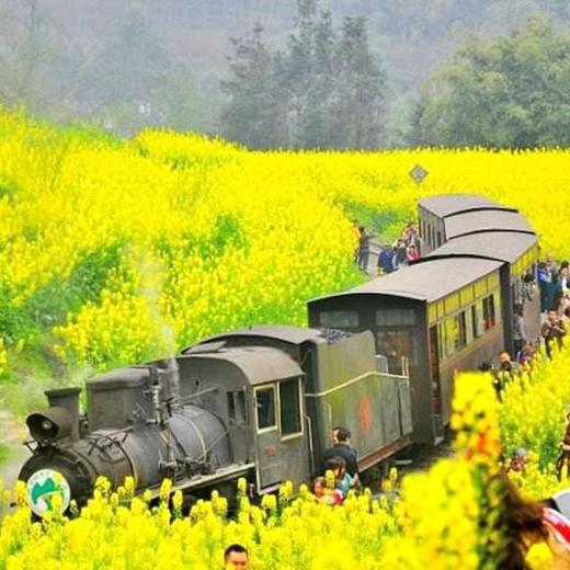 【妈网旅游】嘉阳小火车穿越时空，感受油菜花一日游 商品图0