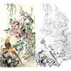 竖幅工笔花鸟白描底稿-王道中锦鸡-《春风花欲舞》-多种白描尺寸可选-QS04 商品缩略图0