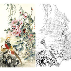 竖幅工笔花鸟白描底稿-王道中锦鸡-《春风花欲舞》-多种白描尺寸可选-QS04