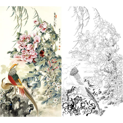 竖幅工笔花鸟白描底稿-王道中锦鸡-《春风花欲舞》-多种白描尺寸可选-QS04 商品图0