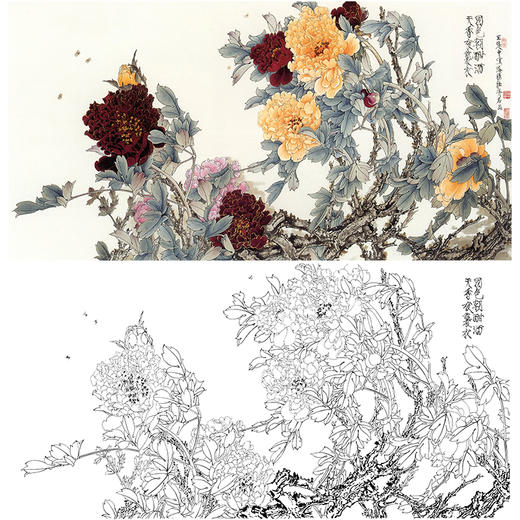 白描底稿王道中横幅牡丹国色朝酣酒天香夜袭衣多种白描尺寸可选qs09