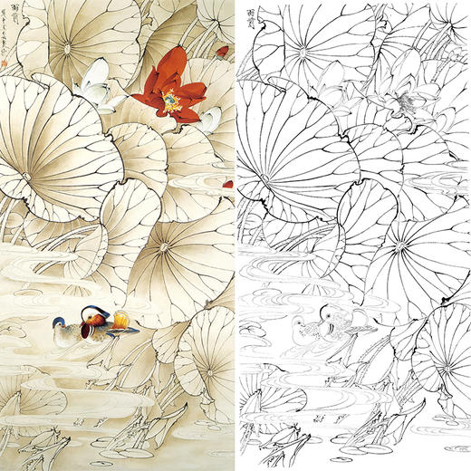 白描底稿王道中荷花鸳鸯雨前多种白描尺寸可选qs02
