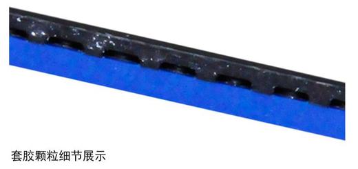 DHS红双喜 国套 国狂飚3 蓝海绵 国狂飙三  反胶套胶正品 商品图1