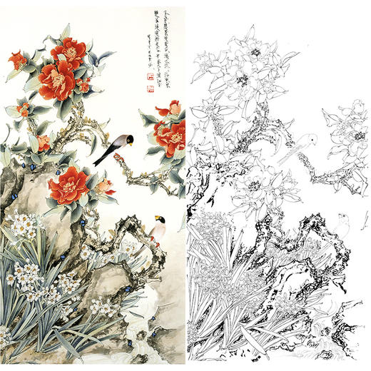 豎幅工筆花鳥白描底稿王道中山茶花早春多種白描尺寸可選qs12