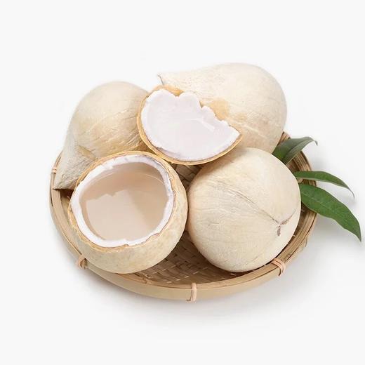 海南香水椰皇1个/400g起
