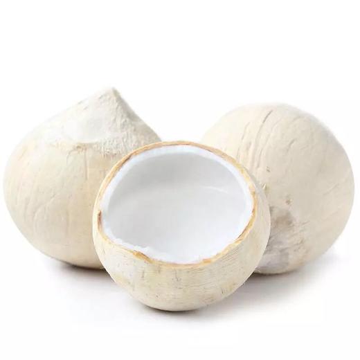 海南香水椰皇1个/400g起