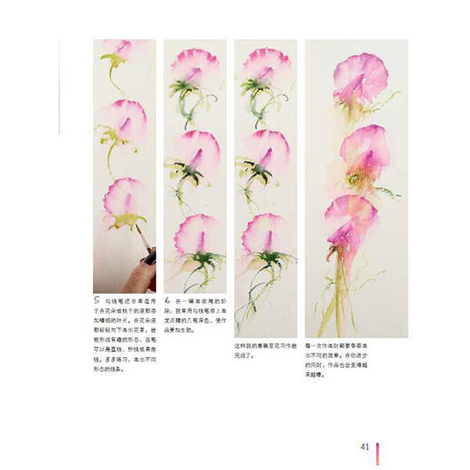 简•海恩斯的写意水彩 商品图1