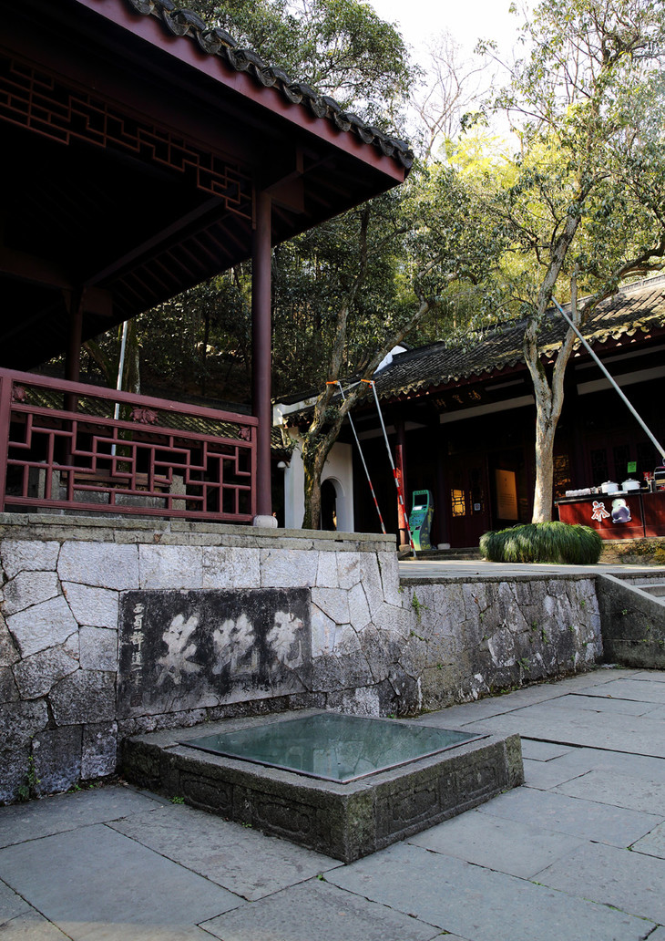 g20元首茶 明前特级龙井珍品 绝配虎跑水 大师特制盖碗