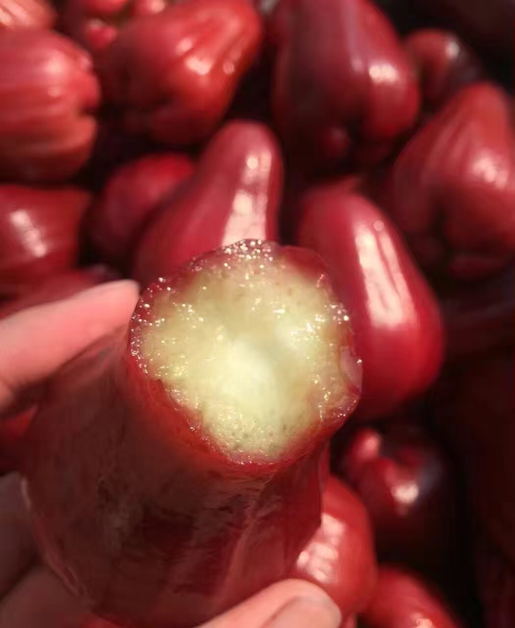 空运特级莲雾黑金刚