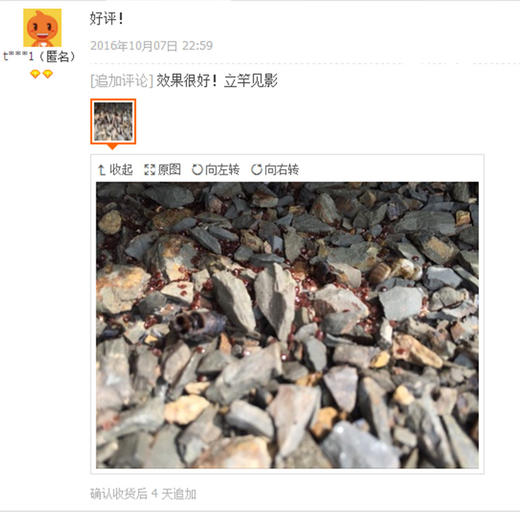 【正品保证】汪氏蜂药蜂必安杀大小螨八号双甲脒溶液蜂螨杀螨虫20支装每支2毫升 商品图1