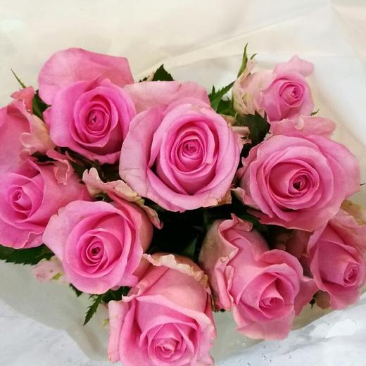 方德玫瑰苏醒10枝