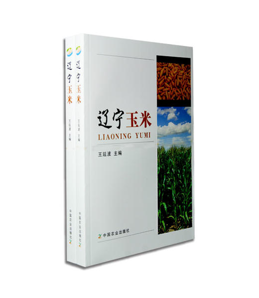 辽宁玉米 商品图0