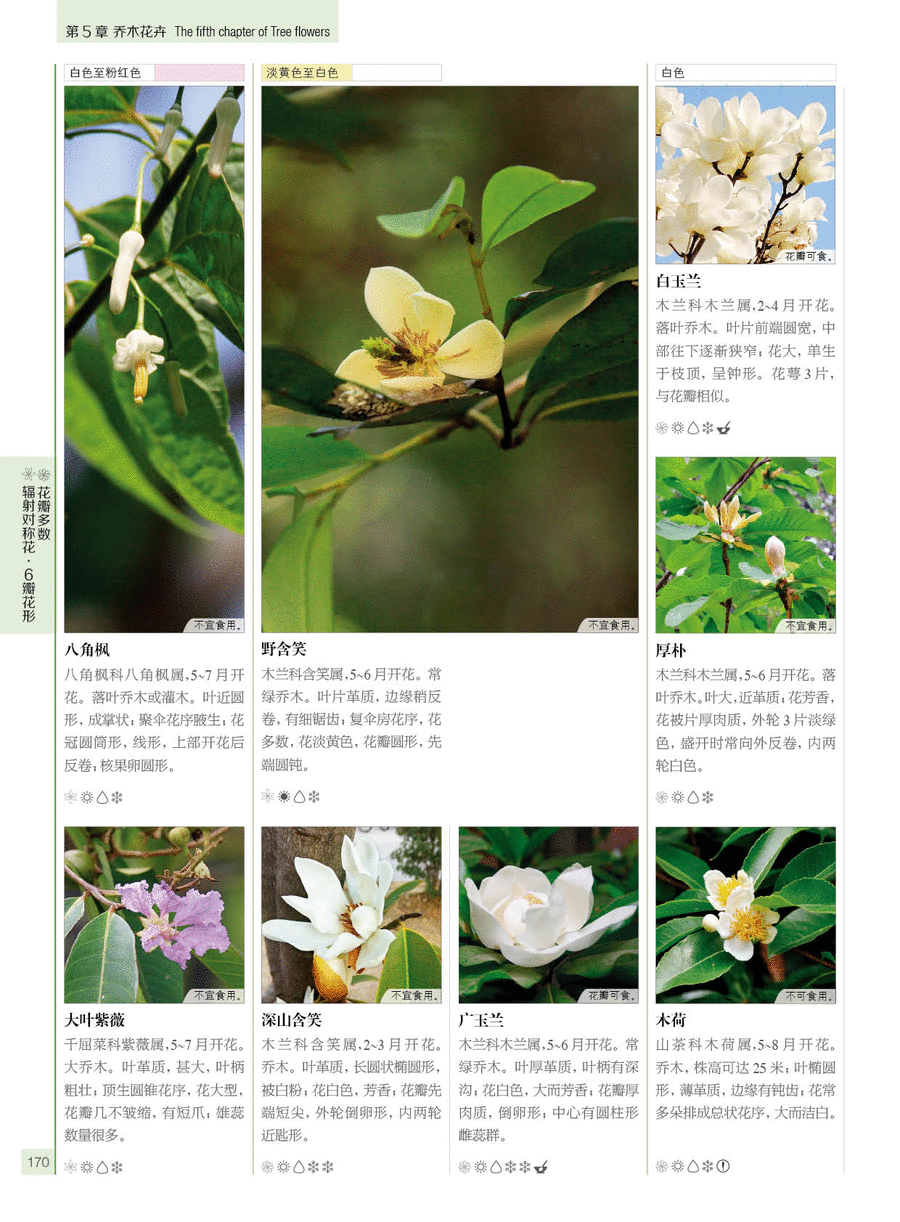 1000种花卉赏认大图册 汉竹 花卉植物书大图美花卉百科休闲生活