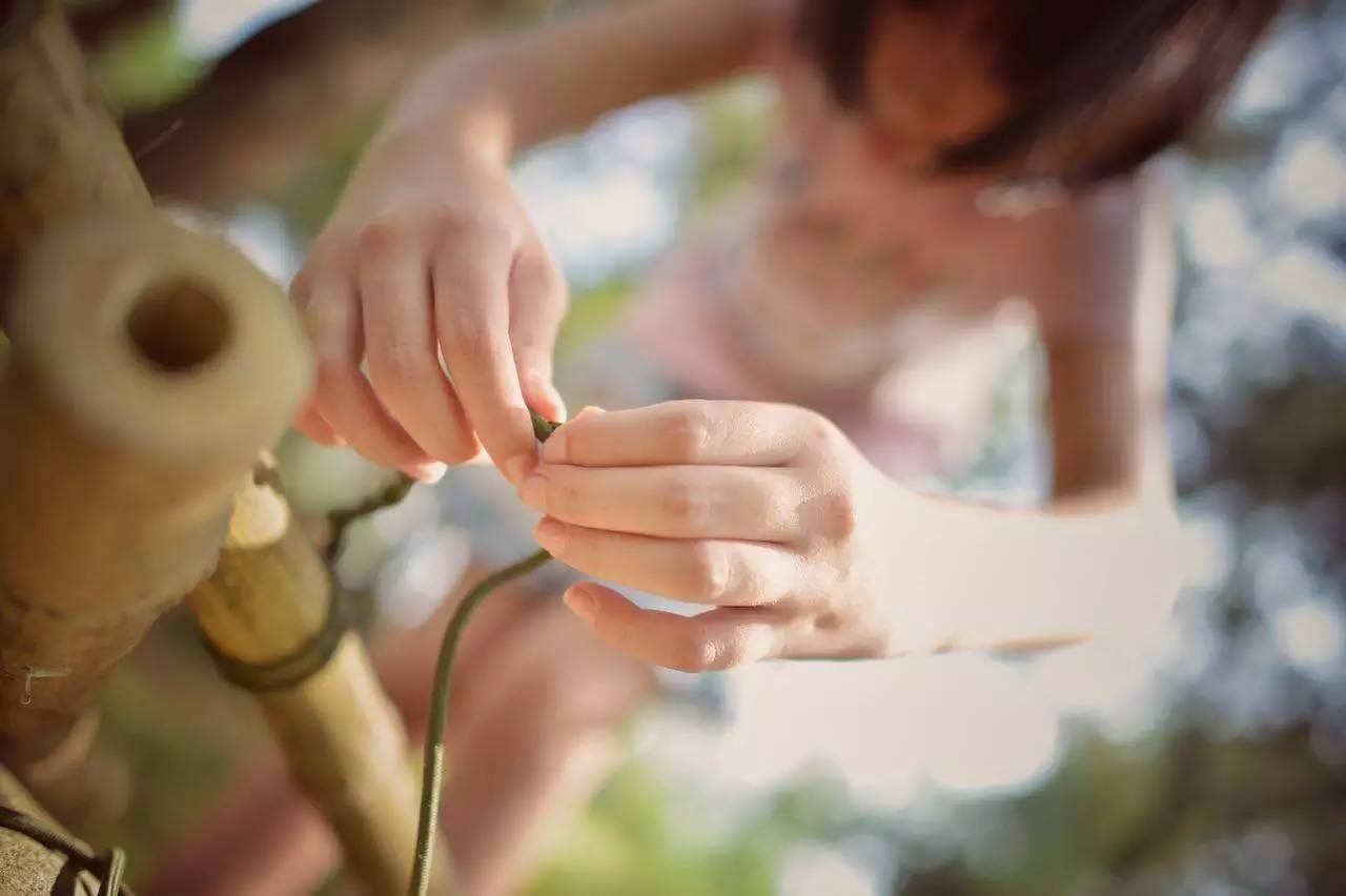 户外探索科学习之旅（10月4日）