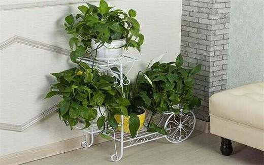 欧必翼特价欧式铁艺花架多层室内花盆架绿萝吊兰阳台落地花架子 掌上岭南