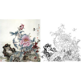 工笔花鸟白描底稿-王道中牡丹《赵粉》斗方小品册页-多种白描尺寸可选-QS13