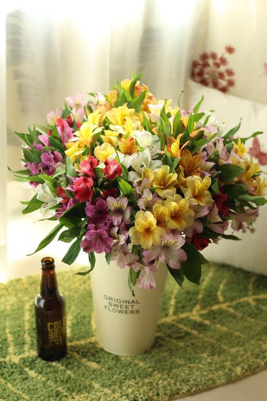 【进口六出花】黄色  5枝 商品图2