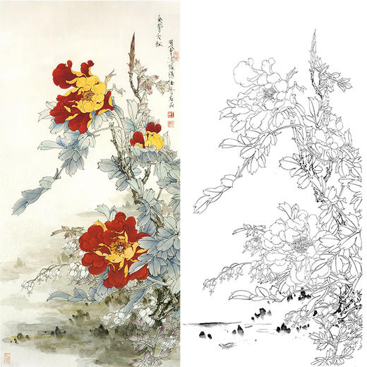白描底稿王道中竖幅牡丹金背大红多种白描尺寸可选qs19