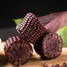 五台山脚下黑珍珠  有机健康 真空包装非转基因甜糯黑玉米10根