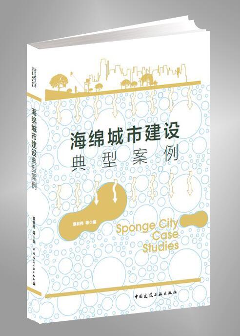 海绵城市建设典型案例 商品图0